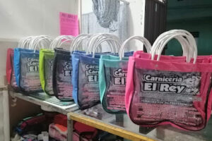 Publismec en Tehuacán