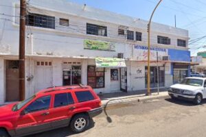 Red Color en Cd. Obregón