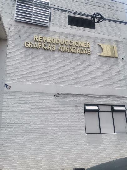 Reproducciones Gráficas Avanzadas en Puebla