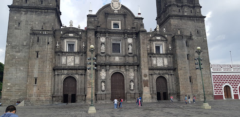 Rex Adv en Puebla