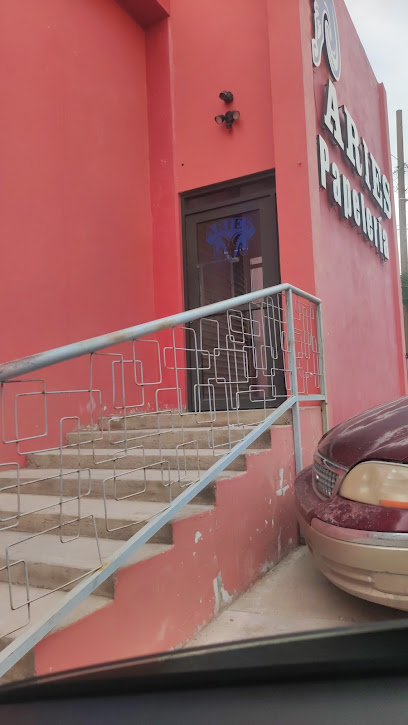 Aries Papelería en Agua Prieta