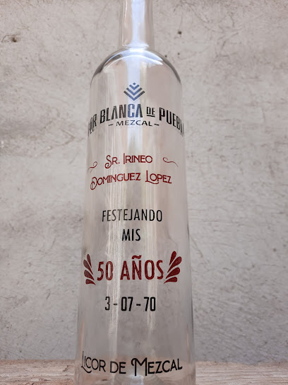 Axol Diseño en Amozoc