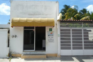 Ciber Oceancolor en Progreso