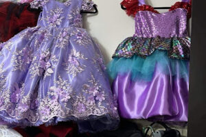 Custom Clover en Coatzacoalcos