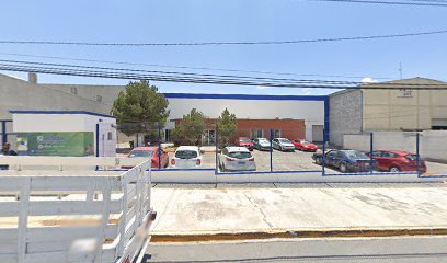 Flexo Impresiones en Ramos Arizpe