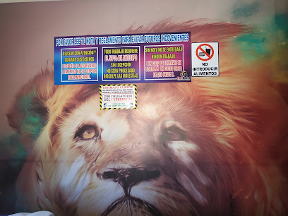 Fullprint en Progreso