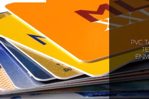 Graphic Logs en Tepatitlán de Morelos