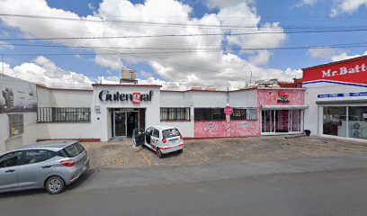 Gutengraf Zacatecas en Zacatecas