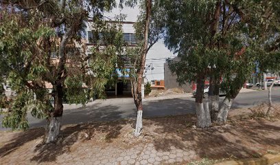 Hexágono Print en Zacatecas