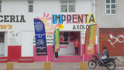 Imprenta Axolotl en San Pablo del Monte