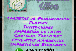 Impresiones Ulloa en Lagos de Moreno