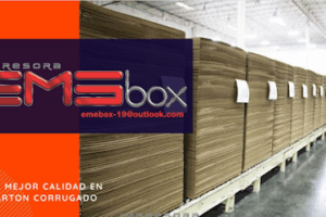 Impresora Eme Box en San Francisco del Rincón