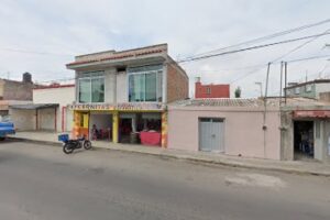 Imprinik en Ciudad Guzmán