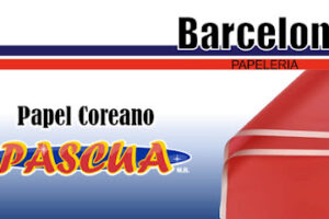 Papelería Barcelona en Río Bravo