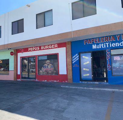 Papelería Multitienda Sg en Ramos Arizpe