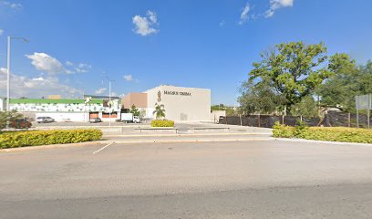 Pixeles en Rioverde