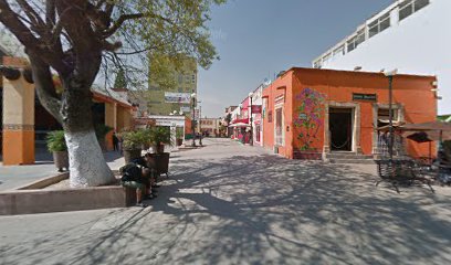 Ploteo en Tula de Allende