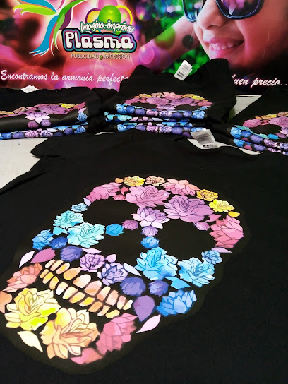 Publicidad e Impresión Plasma Zacatecas en Guadalupe