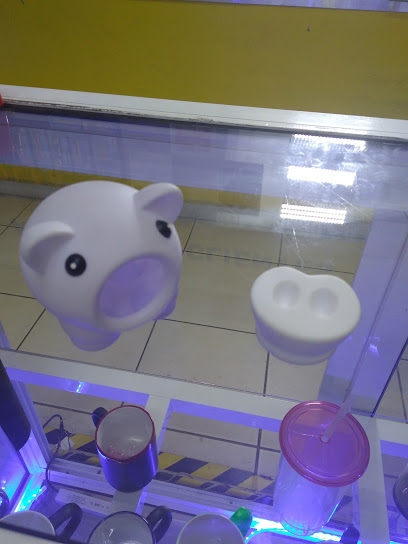Vinilos y Gráficos Digitales SA de CV en Xalapa