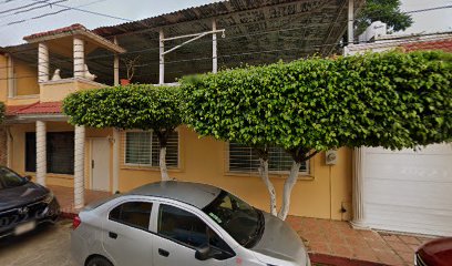 Fly Fungus en Minatitlán