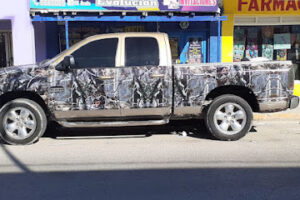 Gráficas Evolucion en Acuña