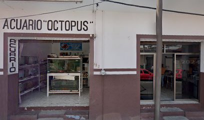 Imprenta y Serigrafía en Orizaba