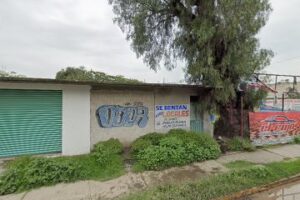 Alis Impresiones en Tizayuca