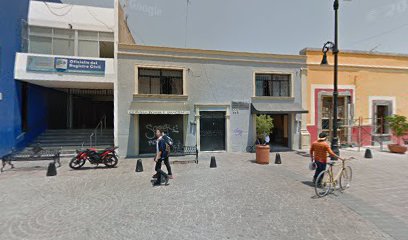 Camaleón en Salamanca