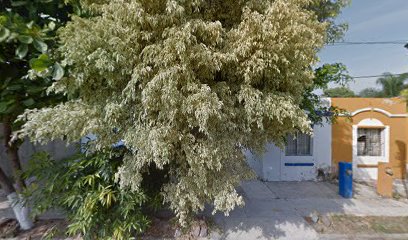 Coloridos en Manzanillo