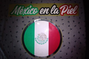 Gocam Print en Nicolás Romero