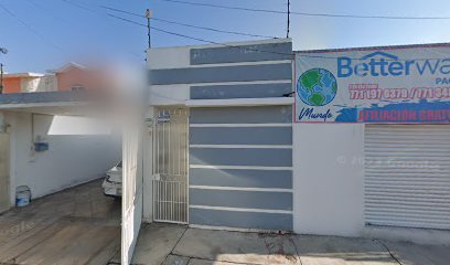 Plotter Prime en Pachuca