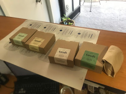 Reveingraf en Tonalá