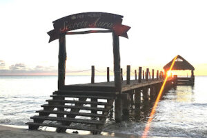 Alebrije Studio en Cozumel