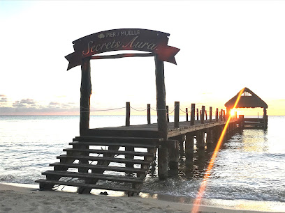 Alebrije Studio en Cozumel