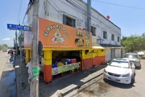 Arte Visual en Playa del Carmen