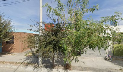 Copias e Impresiones Opa en Juárez