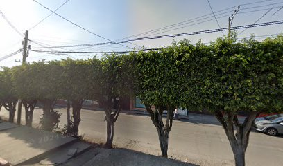 Iconica Impresores, SA de CV en Jiutepec