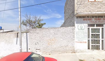 Impresora Polaris en Corregidora