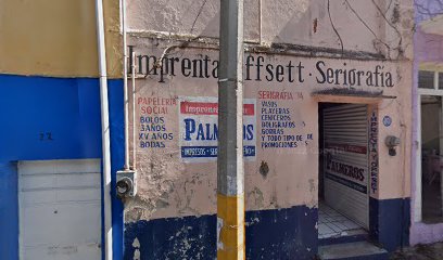 Imprenta y Offset Palmeros en Xalapa