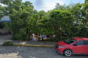 Lm Impresores en Poza Rica