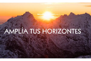 Pro Diseños en Altamira